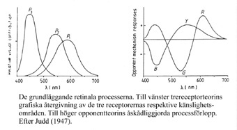 Retinala processer.